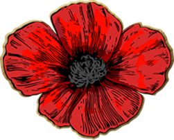 VAJEX Poppy - Donations